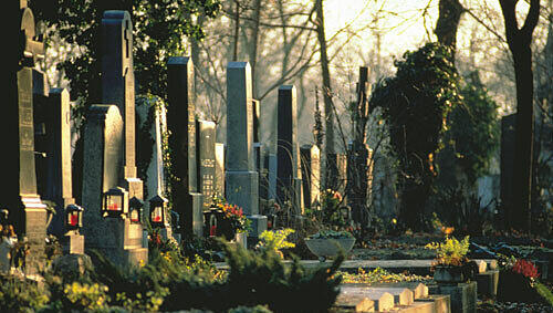 Gräberreihe auf dem Zentralfriedhof Gräberreihe auf dem Zentralfriedhof