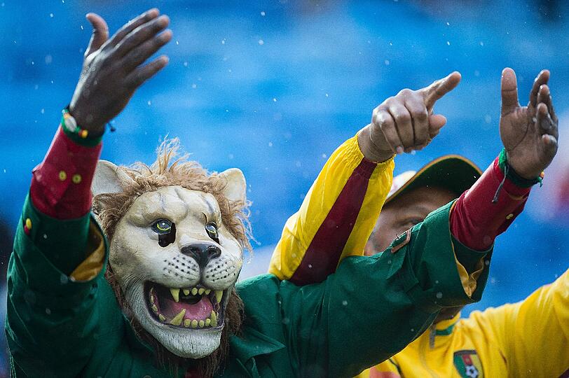 Die Fans der Fußball-WM 2014