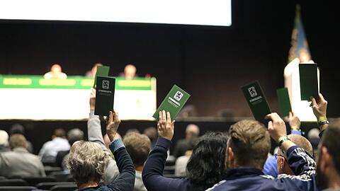 Am Sonntag gilt's: Der TSV 1860 wählt.