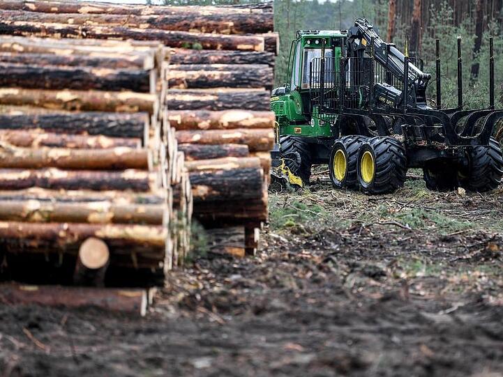 Das Oberverwaltungsgericht Berlin-Brandenburg hat die Rodungsarbeiten auf dem Gelände für die geplante Tesla-Fabrik in Grünheide vorläufig gestoppt.