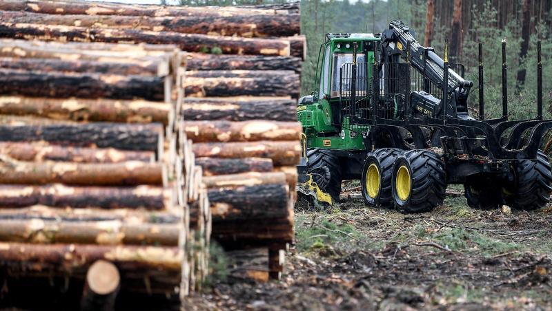 Das Oberverwaltungsgericht Berlin-Brandenburg hat die Rodungsarbeiten auf dem Gelände für die geplante Tesla-Fabrik in Grünheide vorläufig gestoppt. Das Oberverwaltungsgericht Berlin-Brandenburg hat die Rodungsarbeiten auf dem Gelände für die geplante Tesla-Fabrik in Grünheide vorläufig gestoppt.