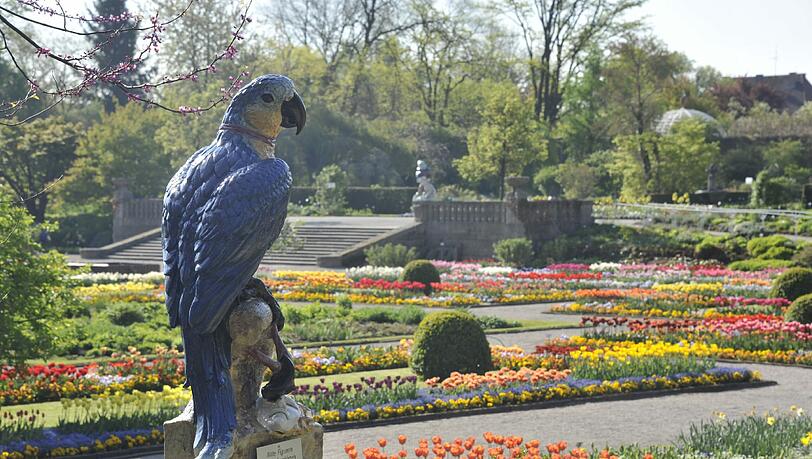 Der Botanische Garten: Hier ein morgendlicher Blick in den Schmuckhof. Der Botanische Garten: Hier ein morgendlicher Blick in den Schmuckhof.