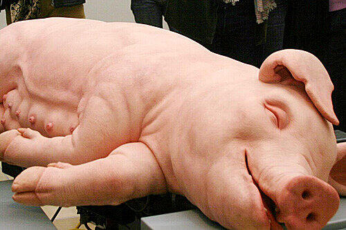 Diese bayerische Sau ist nur ein Ausstellungsstück, doch ähnlich prächtige Tiere hat Bayern nach Moskau exportiert.