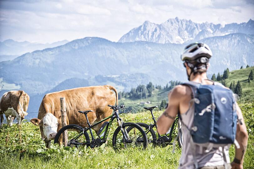 Mountainbiker treffen im Kaiserwinkl auch auf tierische Weggefährten.
