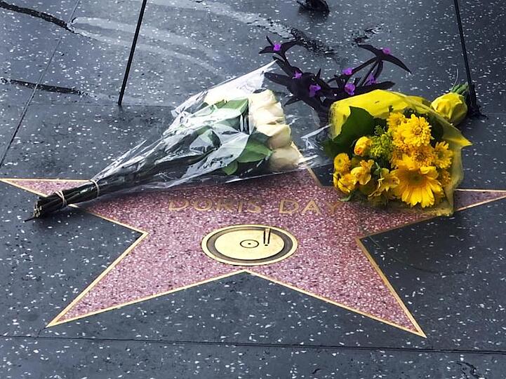 Erinnerung an Doris Day auf dem Hollywood Walk of Fame.