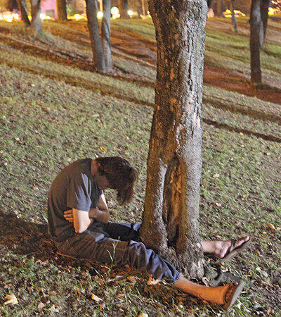 Wenn der Baum zum besten Freund wird.