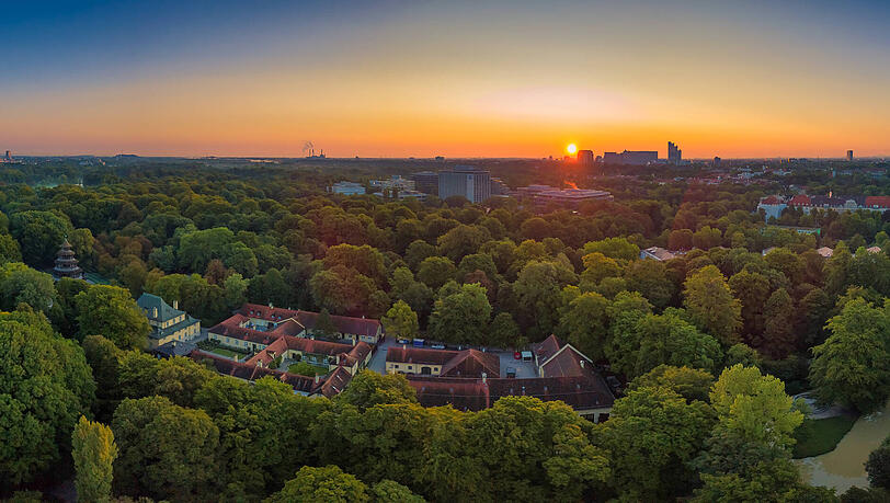 Bäume werden in München mehr geschützt. Das hat der Stadtrat beschlossen. Bäume werden in München mehr geschützt. Das hat der Stadtrat beschlossen.