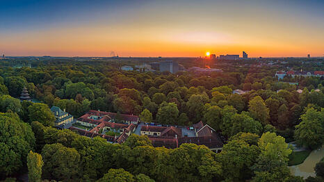 Bäume werden in München mehr geschützt. Das hat der Stadtrat beschlossen.