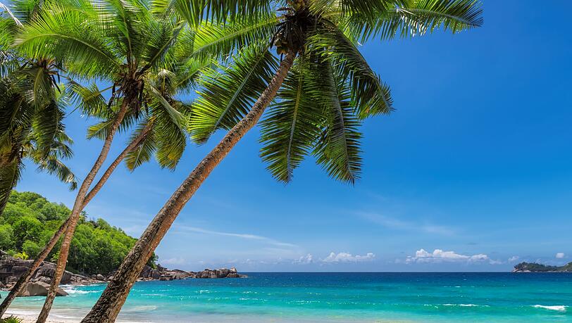 Idyllische Insel-Kulissen laden zum Träumen ein und nicht zum Fürchten. Doch bei den folgenden Inseln sollte man sich nicht von paradiesischen Stränden, Palmen und weißem Sand ablenken lassen. Denn hier lauern Gefahren - vor allem für den Menschen. So auch auf North Sentinel Island - eine Insel im Indischen Ozean, die sich aus gutem Grund vom Rest der Welt abgeschnitten hat ... Idyllische Insel-Kulissen laden zum Träumen ein und nicht zum Fürchten. Doch bei den folgenden Inseln sollte man sich nicht von paradiesischen Stränden, Palmen und weißem Sand ablenken lassen. Denn hier lauern Gefahren - vor allem für den Menschen. So auch auf North Sentinel Island - eine Insel im Indischen Ozean, die sich aus gutem Grund vom Rest der Welt abgeschnitten hat ...