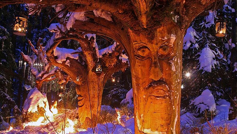 Christkindlmarkt im Zauberwald: Schweinhütter Waldweihnacht Christkindlmarkt im Zauberwald: Schweinhütter Waldweihnacht