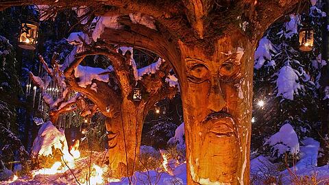 Christkindlmarkt im Zauberwald: Schweinhütter Waldweihnacht