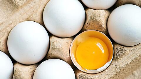 Der Fipronil-Skandal ist noch nicht durchgestanden.