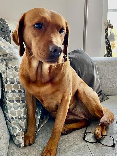 Coco