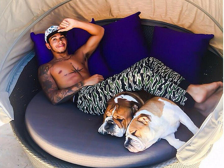 Lewis Hamilton relaxed in Belgien mit seinen zwei Hunden