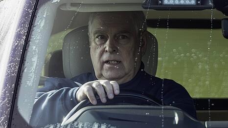 Andrew Mountbatten-Windsor gab an, dass das Bild mit Virginia Giuffre ein Fake sei.