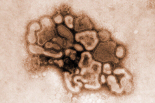 Das fiese Virus greift  weiter um sich.