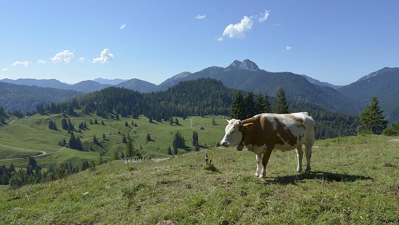 Eine traumhafte Aussicht, die aber in großen Teilen auch menschengemacht ist. Eine traumhafte Aussicht, die aber in großen Teilen auch menschengemacht ist.