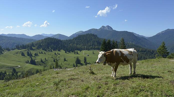 Verzauberte schon Kaiserin Sisi: Die Königsalm im Tegernseer Land.