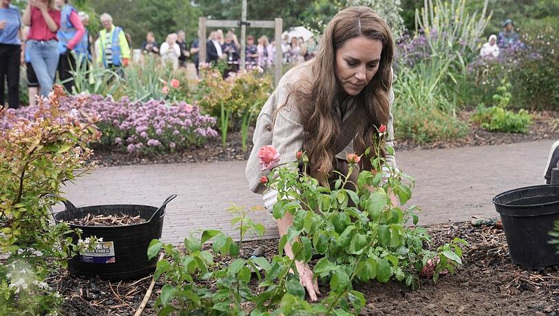 Prinzessin Kate pflanzte 50 Rosen in Colchester.