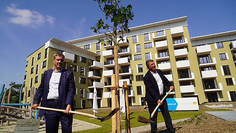Der Bayerische Ministerpräsident Markus Söder (links) und Bauminister Bernreiter pflanzen gemeinsam einen Baum auf dem neuen Wohngebiet für Staatsbedienstete zwischen Leonrodplatz und Olympiapark.
