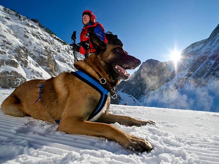 Ein Bergretter wartet mit seinem Lawinenhund auf seinen Einsatz. Foto: Sven Hoppe