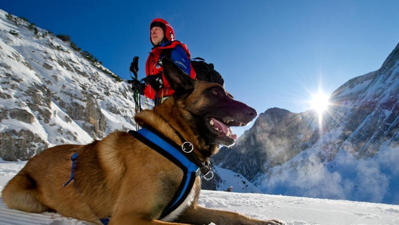 Ein Bergretter wartet mit seinem Lawinenhund auf seinen Einsatz. Foto: Sven Hoppe Ein Bergretter wartet mit seinem Lawinenhund auf seinen Einsatz. Foto: Sven Hoppe