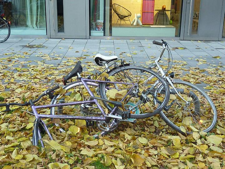 Fahrräder gammeln im Herbstlaub vor sich hin: Das Baureferat hat in drei Jahren 6600 alte Radl entsorgt.