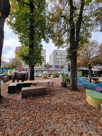 Herbstimmung am Grünspitz im Oktober 2022.