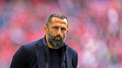 Will irgendwann zur&uuml;ck in den Profifu&szlig;ball: Hasan Salihamidzic.