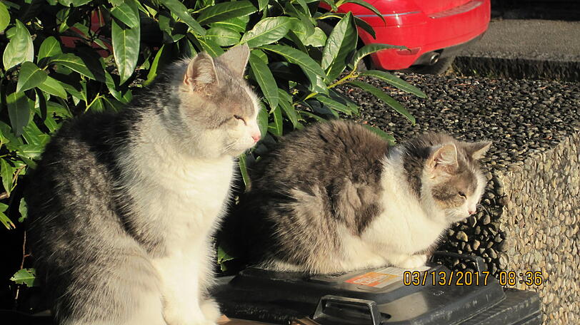 Lino und Bea