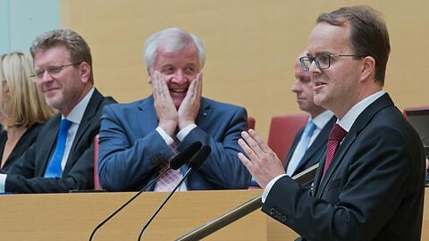 Sichtlich amüsiert hört Horst Seehofer dem SPD-Fraktionschef Markus Rinderspacher (r) zu.