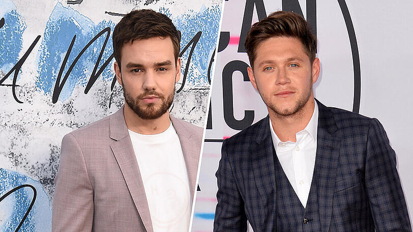 Liam Payne zweifelte daran, ob One Direction mit dem irischen Bandmitglied Niall Horan funktionieren würde.