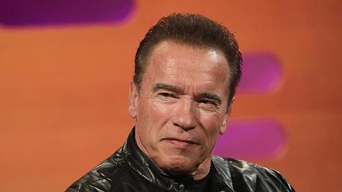 Arnold Schwarzenegger freut sich auf den Kinosommer.