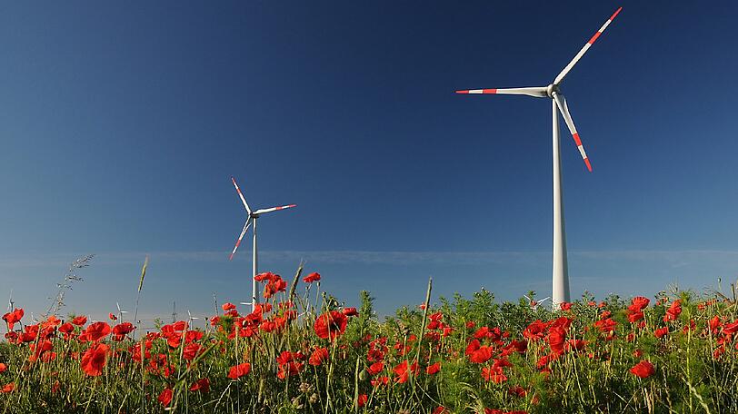 Die SWM engagieren sich auch andernorts - In Deutschland besitzen sie inzwischen mehr als 100 Onshore-Windkraftanlagen, die Ökostrom für 135.000 Münchner Haushalte erzeugen