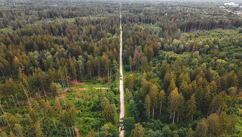 Der Perlacher Forst ist ein 13,36 km² großes gemeindefreies Waldgebiet südöstlich von München.