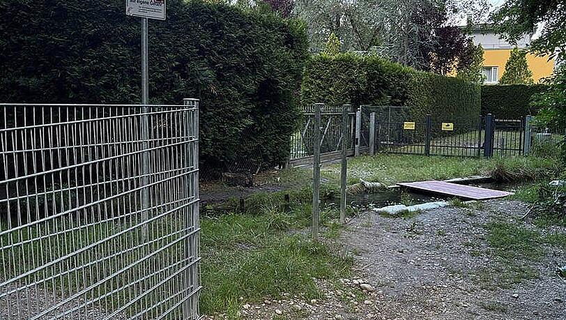 Der neue Metallzaun am Hachinger Bach (links). Die Pfosten des Zauns sind mit Beton im Boden verankert. Der neue Metallzaun am Hachinger Bach (links). Die Pfosten des Zauns sind mit Beton im Boden verankert.