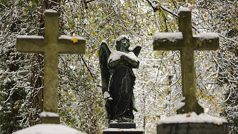 Ein Ort der Ruhe &ndash; auch für die Lebenden: der Alte Südfriedhof im Glockenbachviertel.
