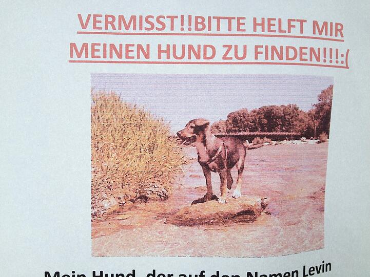 Der junge Hund ist erst drei Monate alt...