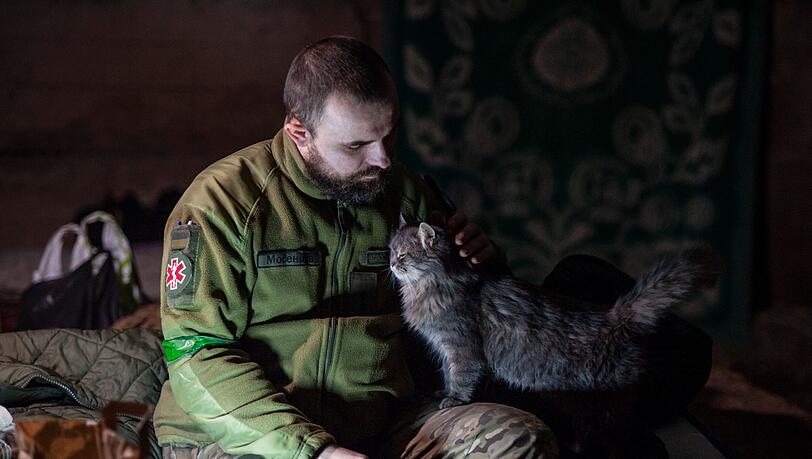 Ein ukrainischer Soldat streichelt in einem Unterstand in der Region Donzek eine Katze. Ein ukrainischer Soldat streichelt in einem Unterstand in der Region Donzek eine Katze.