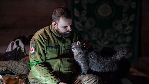 Ein ukrainischer Soldat streichelt in einem Unterstand in der Region Donzek eine Katze.