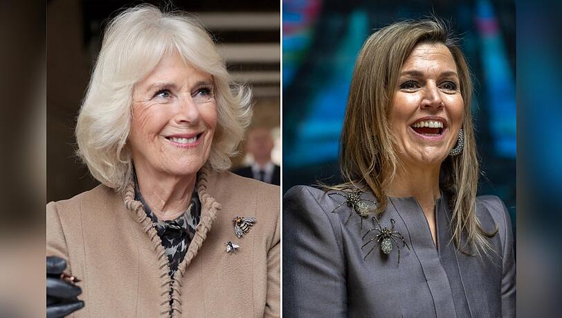 Camilla setzte diese Woche auf Bienenbroschen, Máxima trug glitzernde Spinnen an der Schulter. Camilla setzte diese Woche auf Bienenbroschen, Máxima trug glitzernde Spinnen an der Schulter.