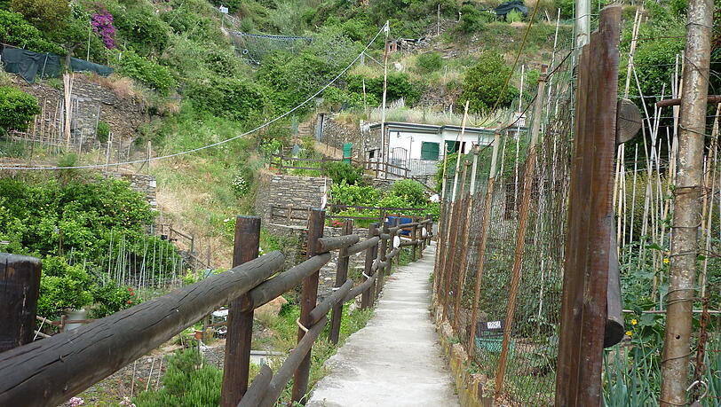 Weil der märchenhafte Wanderweg "Via dell'Amore" von Riomaggiore nach Manarola wegen eines Erdrutsches gesperrt ist, geht es mit dem Zug weiter.