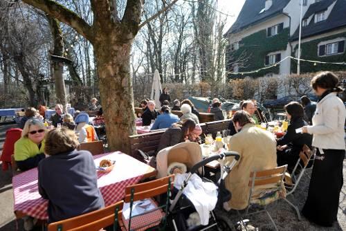 Sonnenanbeter im Osterwaldgarten