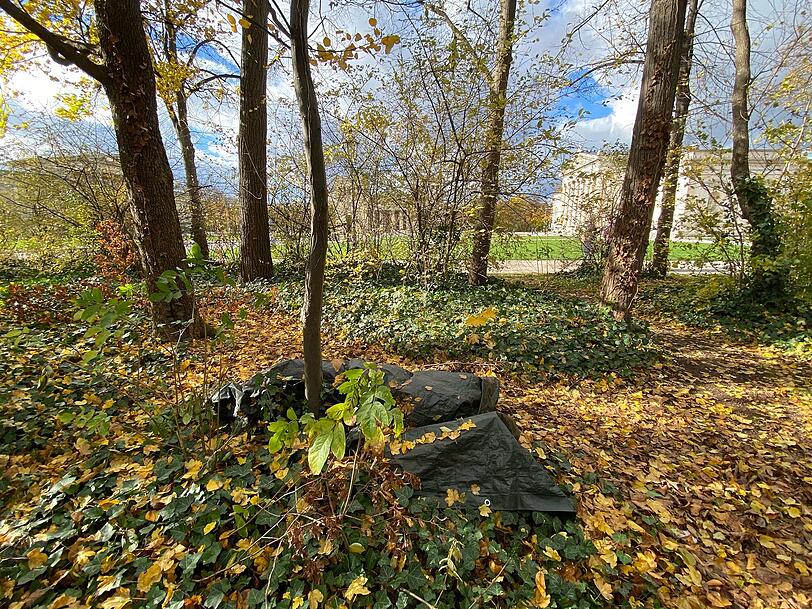 Im Wäldchen zwischen Arcisstraße und Königsplatz campieren mehrere Menschen. Hier verdeckt eine Plastikplane wohl einen Schlafplatz. Im Wäldchen zwischen Arcisstraße und Königsplatz campieren mehrere Menschen. Hier verdeckt eine Plastikplane wohl einen Schlafplatz.
