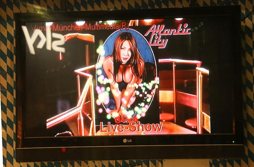 Live Shows...