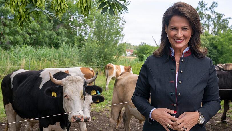 Michaela Kaniber (CSU), Staatsministerin für Ernährung, Landwirtschaft und Forsten, steht bei der jährlichen Ernte-Pressefahrt des Bayerischen Bauernverbandes und des Landwirtschaftsministeriums vor dem Gatter eines Bio-Betriebes mit Ochsen. +++ dpa-Bildfunk +++ Michaela Kaniber (CSU), Staatsministerin für Ernährung, Landwirtschaft und Forsten, steht bei der jährlichen Ernte-Pressefahrt des Bayerischen Bauernverbandes und des Landwirtschaftsministeriums vor dem Gatter eines Bio-Betriebes mit Ochsen. +++ dpa-Bildfunk +++