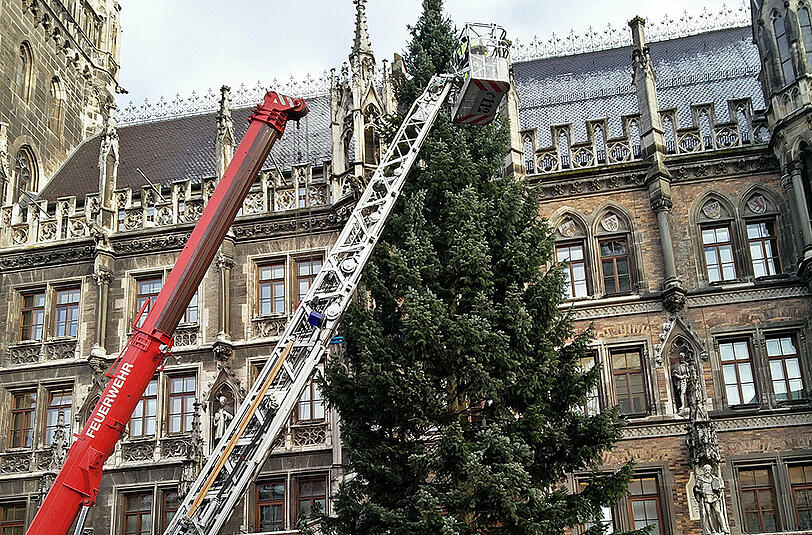 Die Feuerwehr löst den Haken.