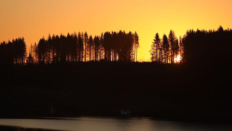 Am Abend des 20. März beginnt auf der Nordhalbkugel der Frühling.