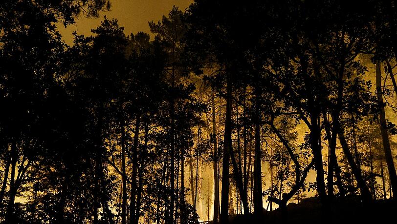 Die Feuerwehr kämpft mit rund 400 Kräften und Löschflugzeugen gegen den Brand im Wald von Fontainebleau. Die Feuerwehr kämpft mit rund 400 Kräften und Löschflugzeugen gegen den Brand im Wald von Fontainebleau.