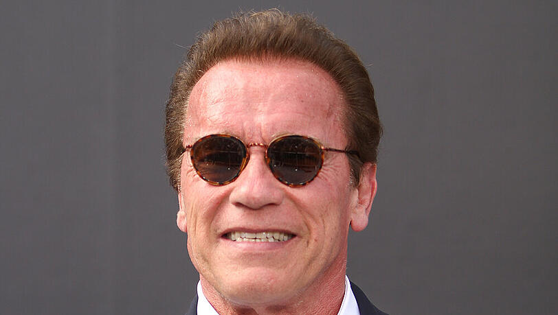 Ex-"Gouvernator" Arnold Schwarzenegger Ex-"Gouvernator" Arnold Schwarzenegger
